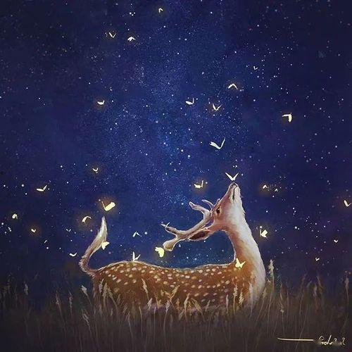 星河入梦来,探寻宇宙奥秘的奇幻旅程