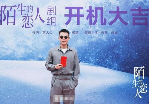 陌生的恋人,一段陌生恋情的奇妙旅程